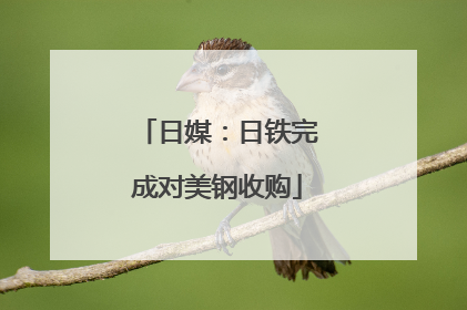 日媒：日铁完成对美钢收购