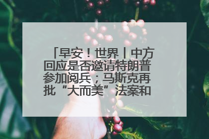 早安！世界丨中方回应是否邀请特朗普参加阅兵；马斯克再批“大而美”法案和美国共和党