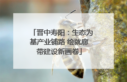 晋中寿阳：生态为基产业铺路 绘就廊带建设新画卷