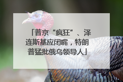 普京“疯狂”、泽连斯基应闭嘴，特朗普猛批俄乌领导人