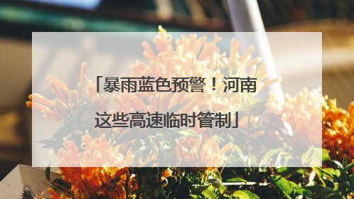 暴雨蓝色预警！河南这些高速临时管制