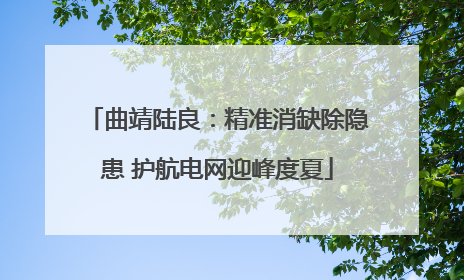 曲靖陆良：精准消缺除隐患 护航电网迎峰度夏