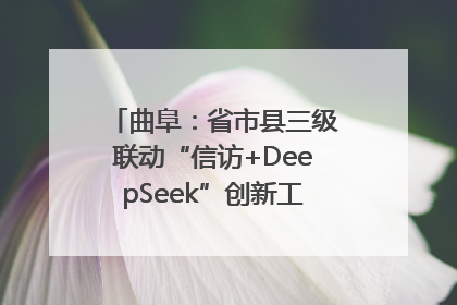 曲阜：省市县三级联动“信访+DeepSeek”创新工作新闻发布会举行