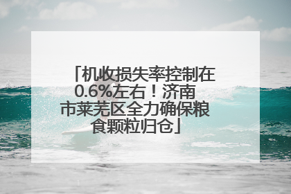 机收损失率控制在0.6%左右！济南市莱芜区全力确保粮食颗粒归仓