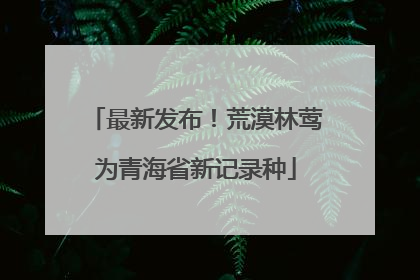 最新发布！荒漠林莺为青海省新记录种