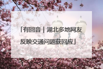有回音｜湖北多地网友反映交通问题获回应