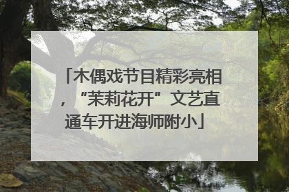 木偶戏节目精彩亮相，“茉莉花开”文艺直通车开进海师附小