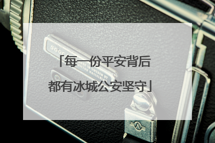 每一份平安背后 都有冰城公安坚守