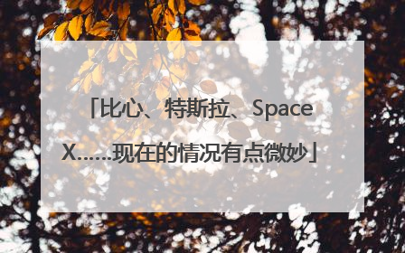 比心、特斯拉、SpaceX……现在的情况有点微妙