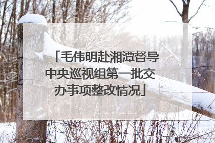 毛伟明赴湘潭督导中央巡视组第一批交办事项整改情况