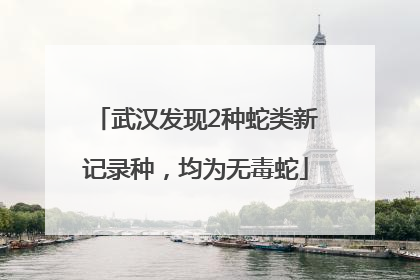 武汉发现2种蛇类新记录种，均为无毒蛇