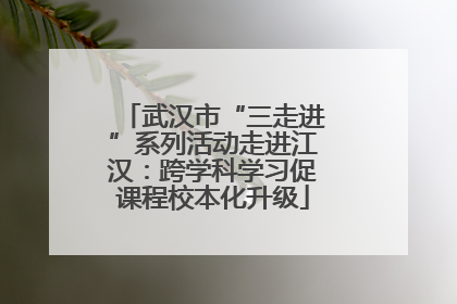 武汉市“三走进”系列活动走进江汉：跨学科学习促课程校本化升级