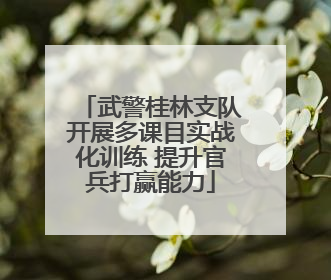 武警桂林支队开展多课目实战化训练 提升官兵打赢能力