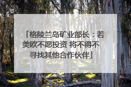 格陵兰岛矿业部长：若美欧不愿投资 将不得不寻找其他合作伙伴