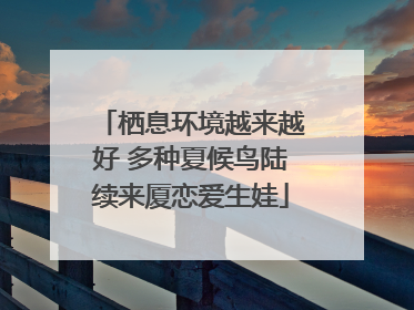 栖息环境越来越好 多种夏候鸟陆续来厦恋爱生娃