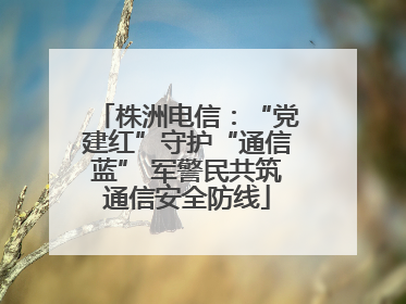 株洲电信：“党建红”守护“通信蓝” 军警民共筑通信安全防线