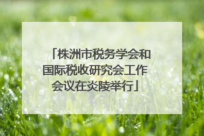株洲市税务学会和国际税收研究会工作会议在炎陵举行