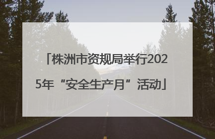 株洲市资规局举行2025年“安全生产月”活动