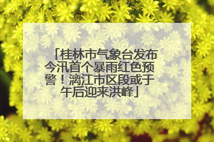 桂林市气象台发布今汛首个暴雨红色预警！漓江市区段或于午后迎来洪峰
