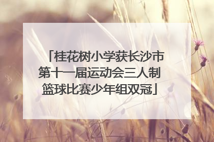 桂花树小学获长沙市第十一届运动会三人制篮球比赛少年组双冠