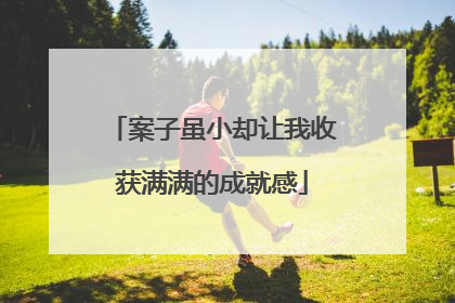 案子虽小却让我收获满满的成就感