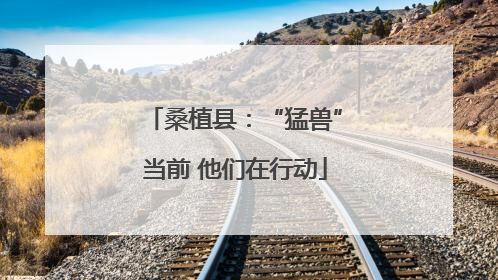 桑植县：“猛兽”当前 他们在行动
