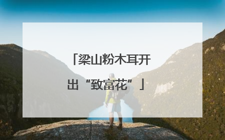 梁山粉木耳开出“致富花”