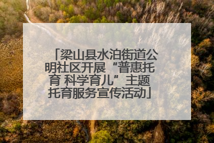 梁山县水泊街道公明社区开展“普惠托育 科学育儿”主题托育服务宣传活动