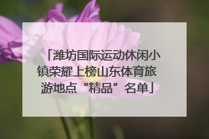 潍坊国际运动休闲小镇荣耀上榜山东体育旅游地点“精品”名单