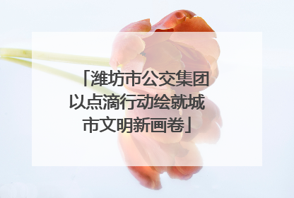 潍坊市公交集团以点滴行动绘就城市文明新画卷