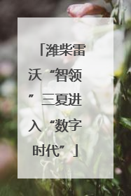 潍柴雷沃“智领”三夏进入“数字时代”