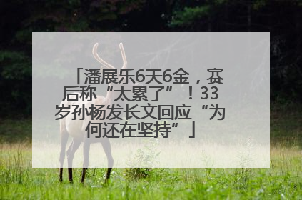 潘展乐6天6金，赛后称“太累了”！33岁孙杨发长文回应“为何还在坚持”