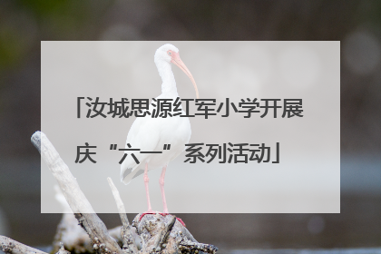 汝城思源红军小学开展庆“六一”系列活动