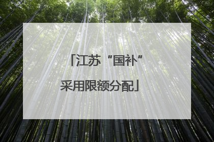 江苏“国补”采用限额分配