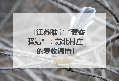 江苏睢宁“麦客驿站”：苏北村庄的麦收温情
