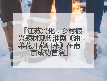 江苏兴化：乡村振兴题材现代淮剧《油菜花开燕归来》在南京成功首演