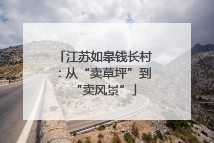 江苏如皋钱长村：从“卖草坪”到“卖风景”