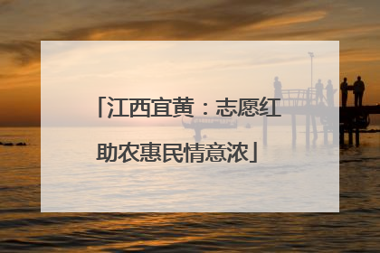 江西宜黄：志愿红助农惠民情意浓