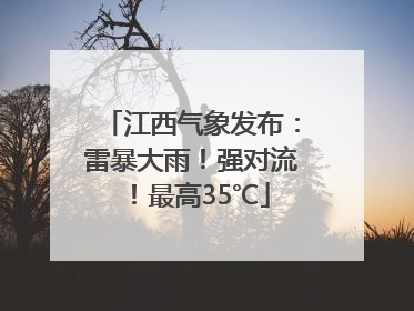 江西气象发布：雷暴大雨！强对流！最高35℃