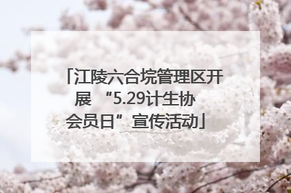 江陵六合垸管理区开展 “5.29计生协会员日”宣传活动