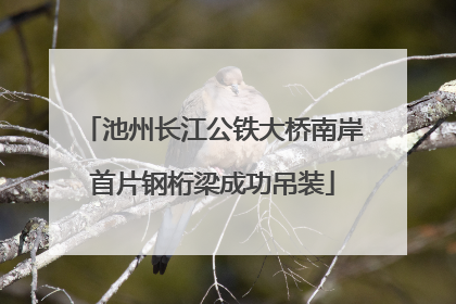 池州长江公铁大桥南岸首片钢桁梁成功吊装