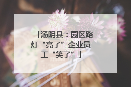 汤阴县：园区路灯“亮了”企业员工“笑了”