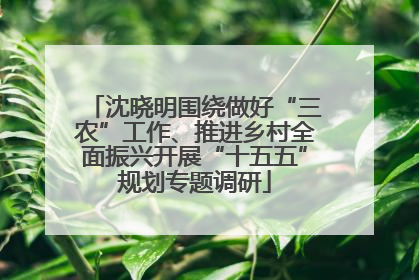 沈晓明围绕做好“三农”工作、推进乡村全面振兴开展“十五五”规划专题调研