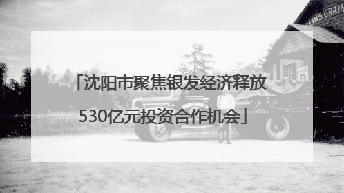 沈阳市聚焦银发经济释放530亿元投资合作机会