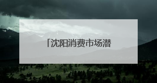 沈阳消费市场潜力不断释放 活力迸发亮点频现