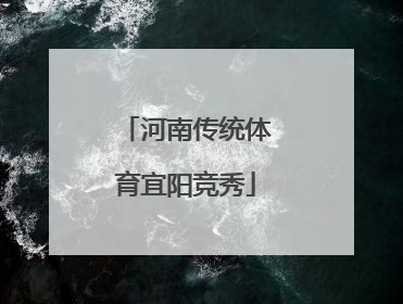 河南传统体育宜阳竞秀