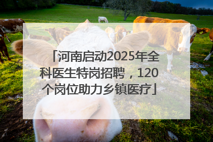 河南启动2025年全科医生特岗招聘，120个岗位助力乡镇医疗
