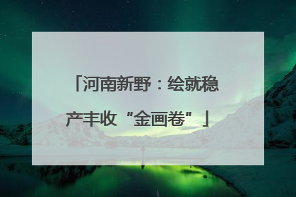 河南新野：绘就稳产丰收“金画卷”
