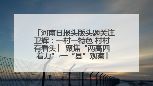 河南日报头版头题关注卫辉：一村一特色 村村有看头 ︳聚焦“两高四着力”·一“县”观察