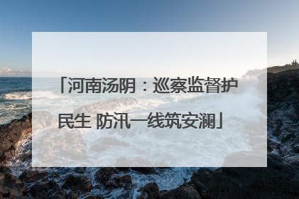 河南汤阴：巡察监督护民生 防汛一线筑安澜